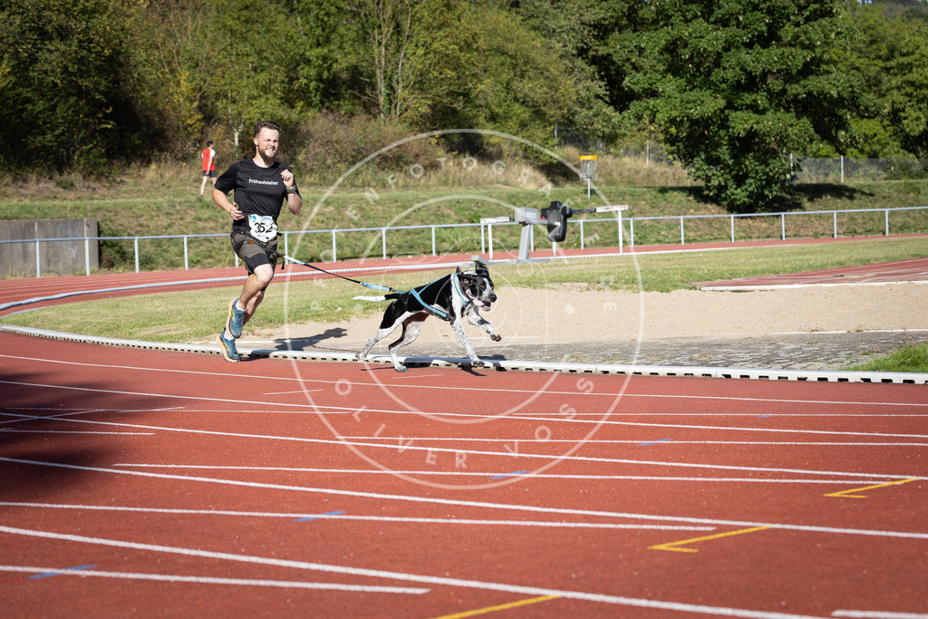 Pfotenfotografie_DV3A0067 | Hundefotografie, Tierfotograf, Pfotenfotografie, Fotoshooting Hund, Hunde Portrait, Hundesport, Hundeportraits, Heideshooting, Hunde, Sportfotograf, Hundefotograf, Turnierhundsport, THS,  - Realisiert mit Pictrs.com
