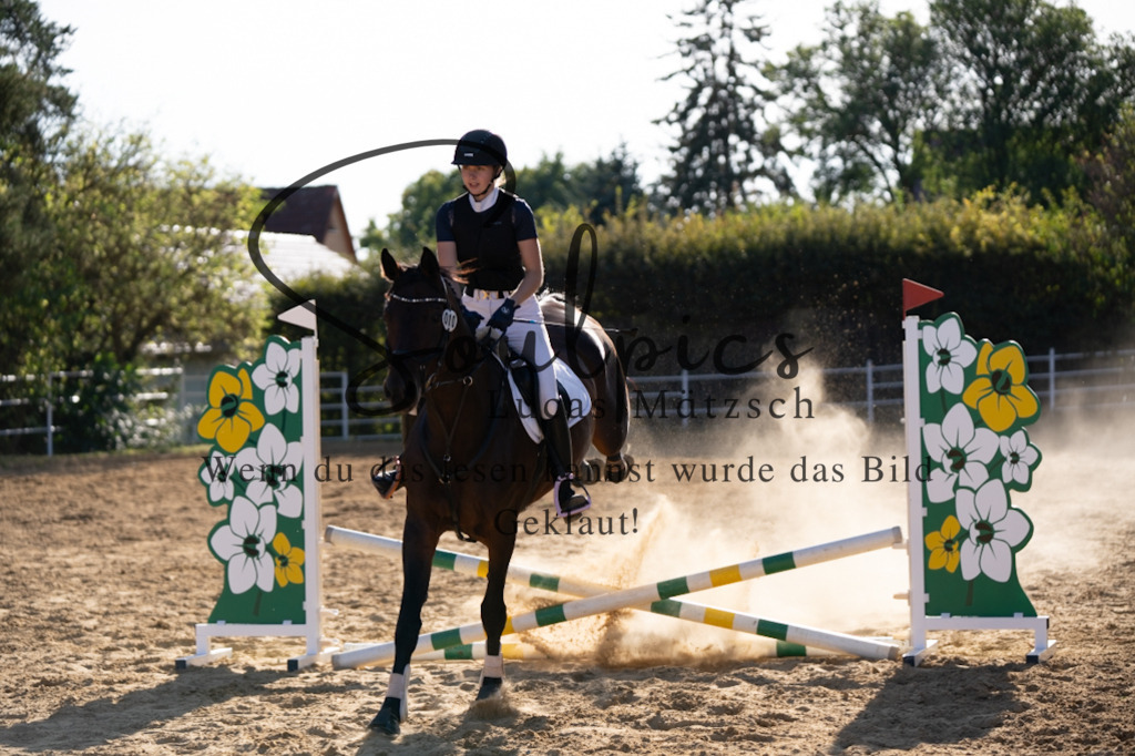 A7V02708 | Pferdefotograf