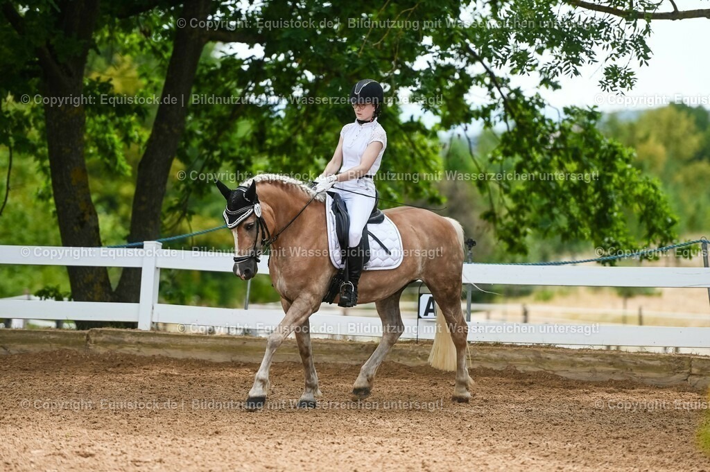 20230715_05_Dressurprüfung Kl.A++_0072 | equistock