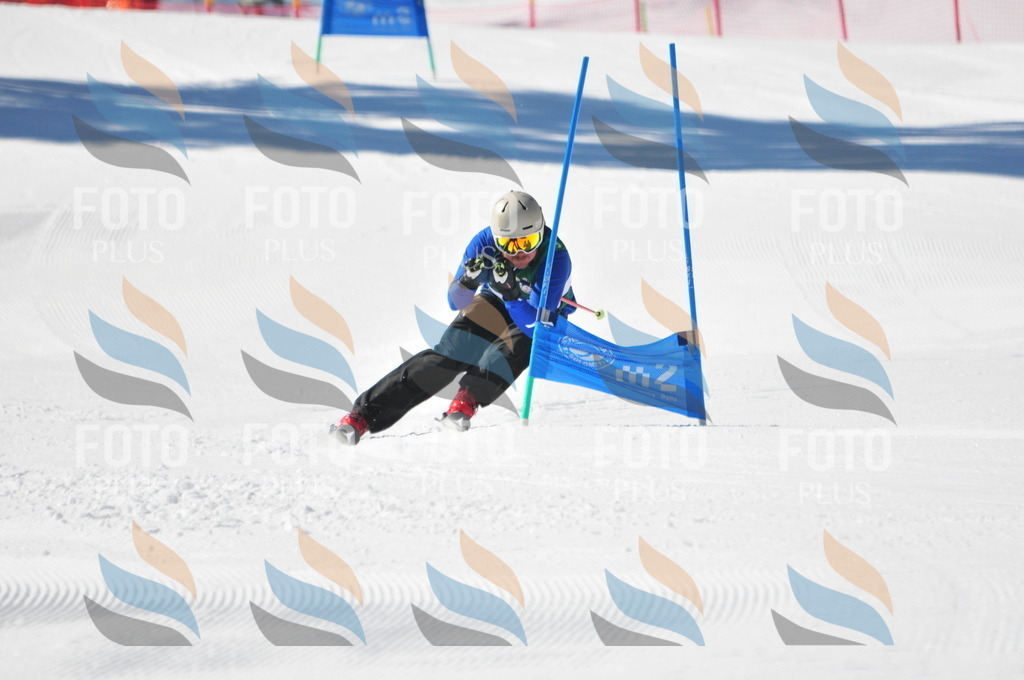 C3512 | holidayphoto