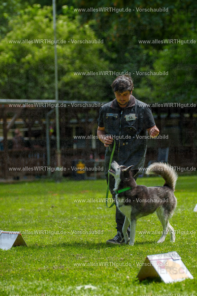 @allesWIRTHgut_Tierfotografie - www.allesWIRTHgut.de - 7R500981 | Professionelle Tierfotografie in Mönchengladbach von Daniel Wirth (allesWIRTHgut). Liebevolle & natürliche Bilder von Hunden & Katzen für unvergessliche Erinnerungen.
