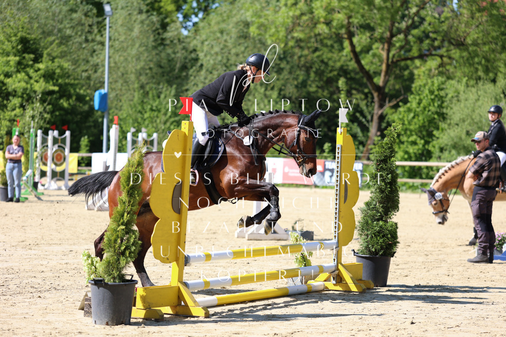 IMGS4400 | pl-fotografie