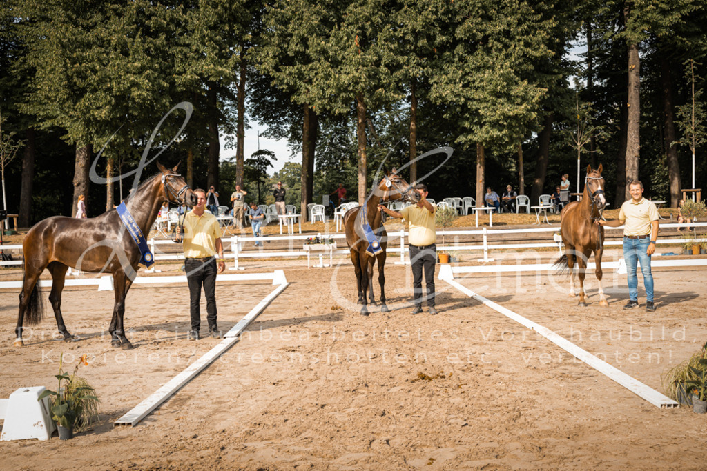 FrER00279 | Leoni Ertmer Photography - Realisiert mit Pictrs.com