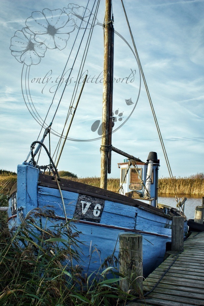 IMG_8888-01 | only.this.little.world - Realisiert mit Pictrs.com