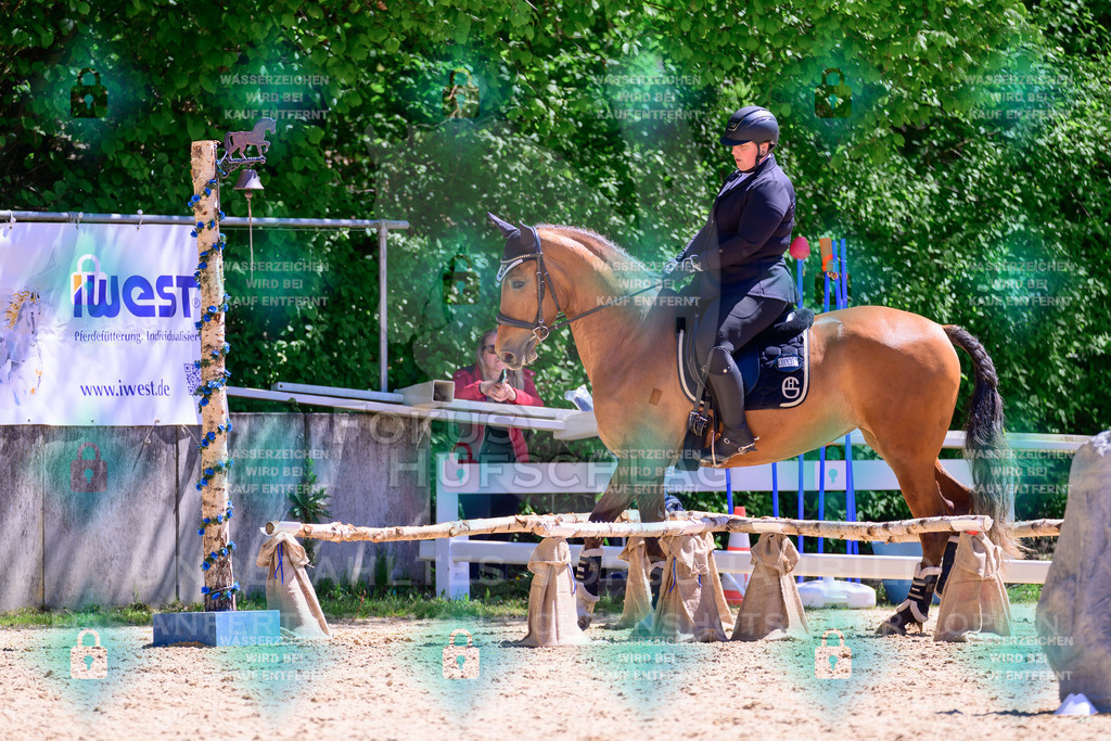 01052026-Giesenbach-02-Stiltrail-0269 | Fokus Hufschlag Fotografie - Realisiert mit Pictrs.com