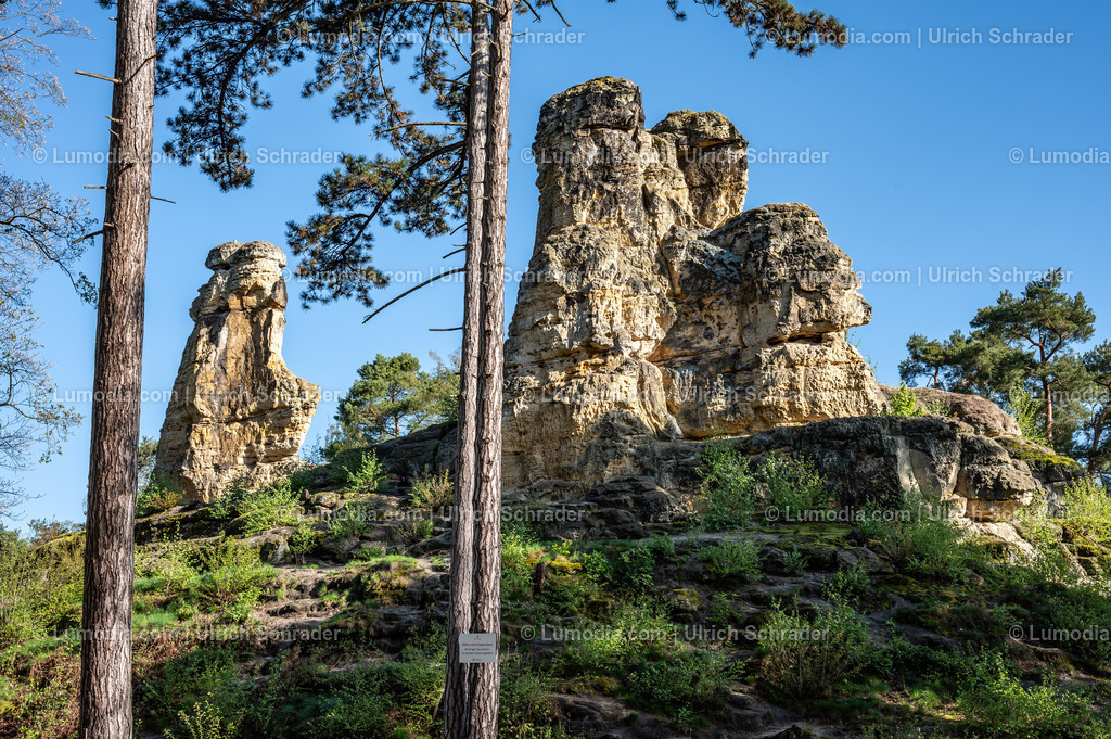 10049-13973 - Halberstadt - In den Klusbergen | Stockfoto und Bilderpool mit Bildmaterial aus Deutschland, dem Harz, Halberstadt, Quedlinburg, Wernigerode und weltweit. Qualitativ hochwertige und professionelle Fotos anschauen und kaufen. - Realisiert mit Pictrs.com