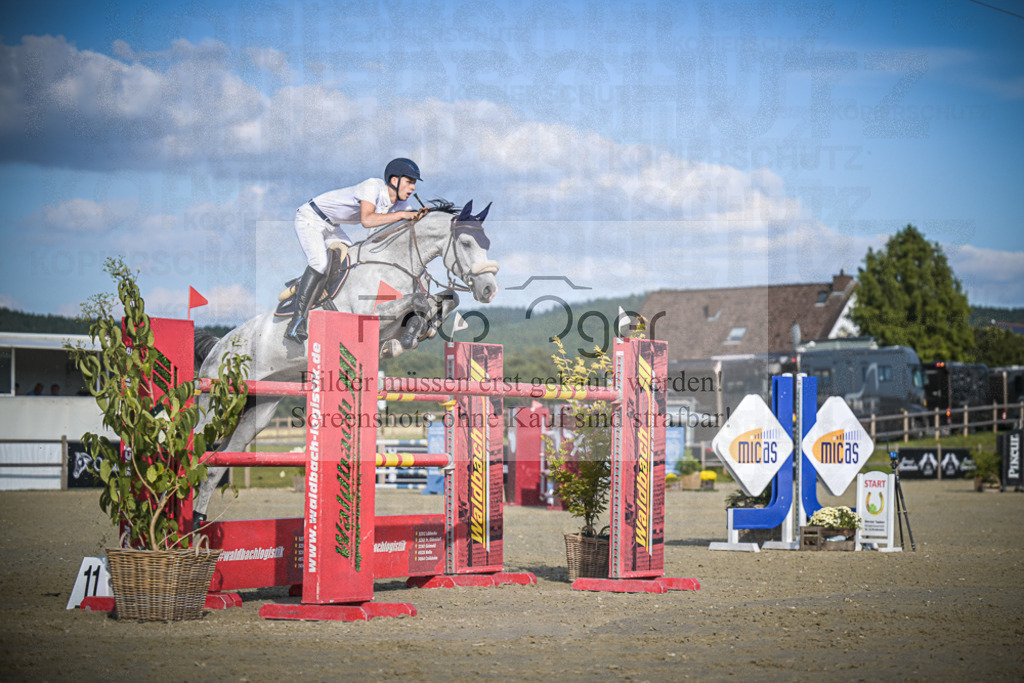 DOS_2619 | Entdecke hochwertige Reitturnierfotos von Foto Oger. Professionell, emotional und authentisch – jetzt Lieblingsmomente im Shop bestellen.Deutschlandweite Turnierfotografie. - Realisiert mit Pictrs.com