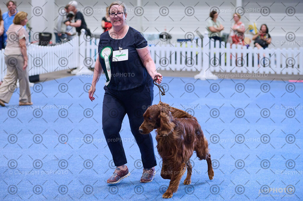 202406_ÖKV-IHA-Tulln24_DSC_4141 | proPHOTO - Realisiert mit Pictrs.com