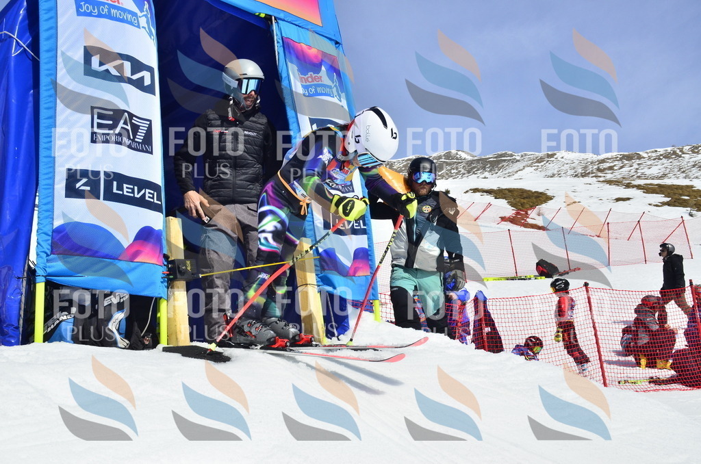 _ELE1170 | holidayphoto