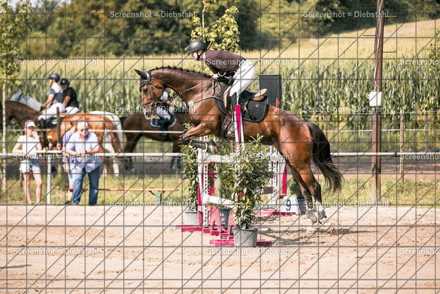 _W6A2555 | ronjaprokoschfotografie - Realisiert mit Pictrs.com