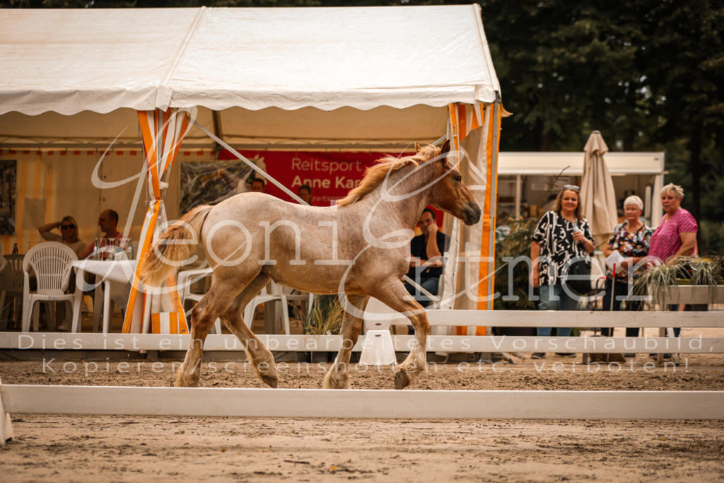 SaSF00087 | Leoni Ertmer Photography - Realisiert mit Pictrs.com