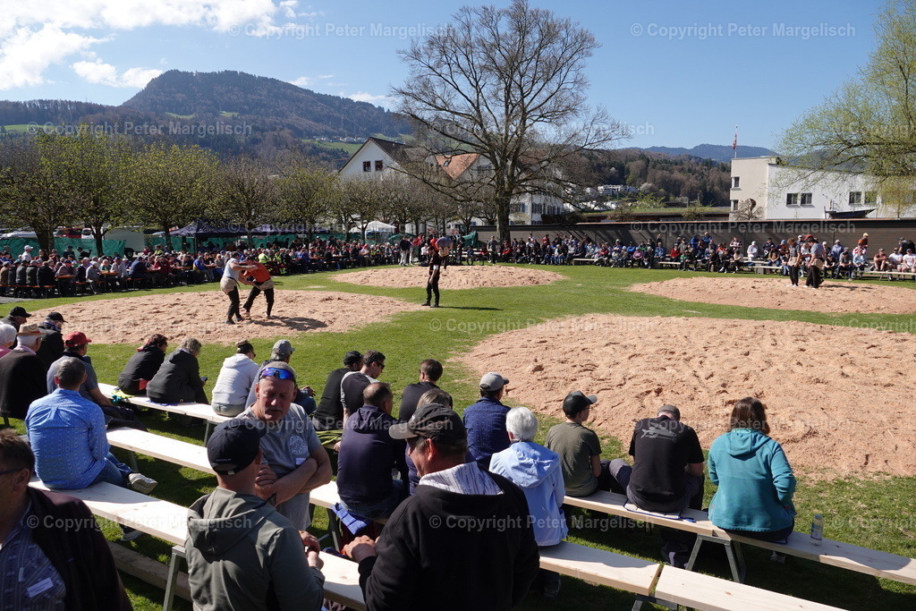 DSC02288 | Schwingen - Realisiert mit Pictrs.com