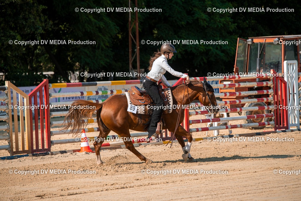 ZS2_8836 | dv-media-shop - Realisiert mit Pictrs.com