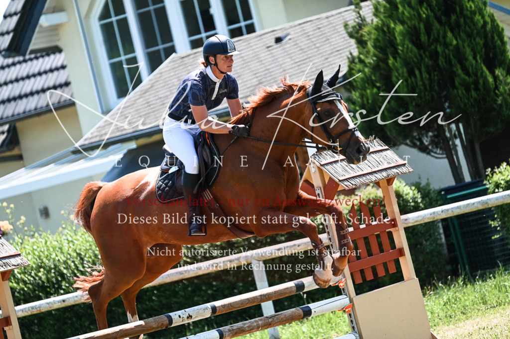 DSC_0146 | Pferde- und Turnierfotografie in Westsachsen. Pferdeportraits, Auftragszeichnungen und intuitive Kunst.