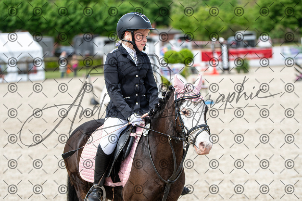 KPT_6046 | andre_photographic