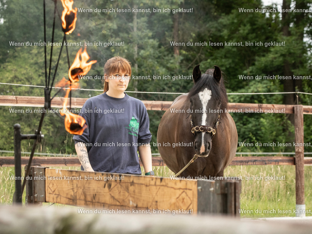 598A6965 | photographylinaismer - Realisiert mit Pictrs.com