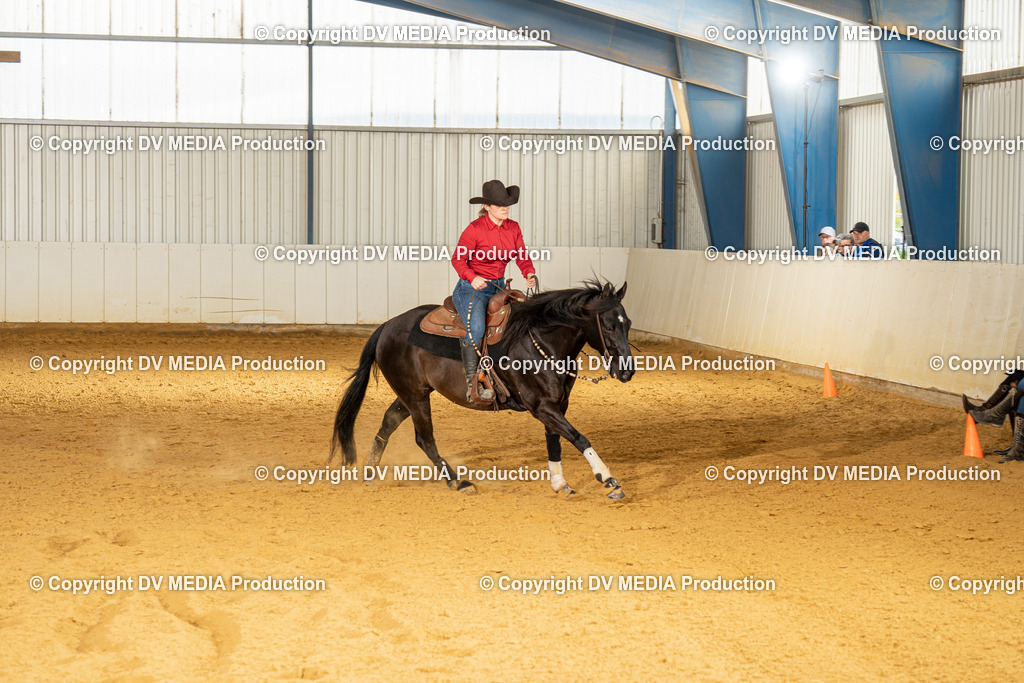 MIT01118 | dv-media-shop - Realisiert mit Pictrs.com