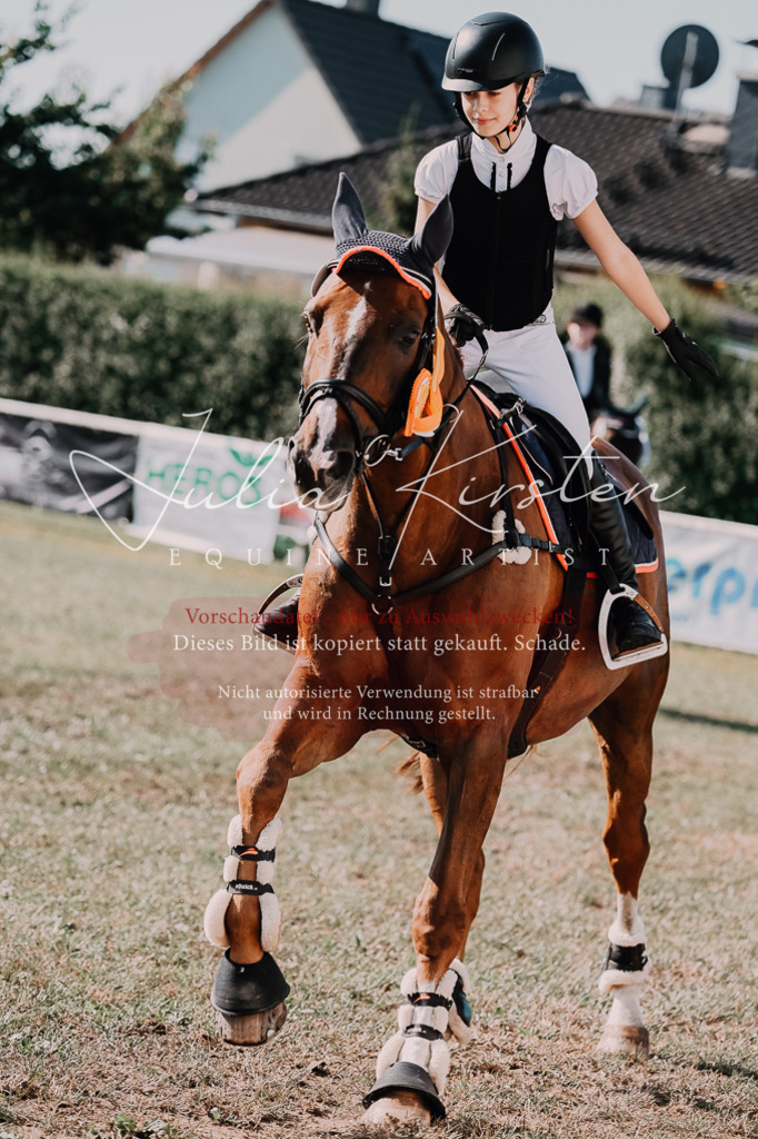 DSC_4937 | Pferde- und Turnierfotografie in Westsachsen. Pferdeportraits, Auftragszeichnungen und intuitive Kunst.