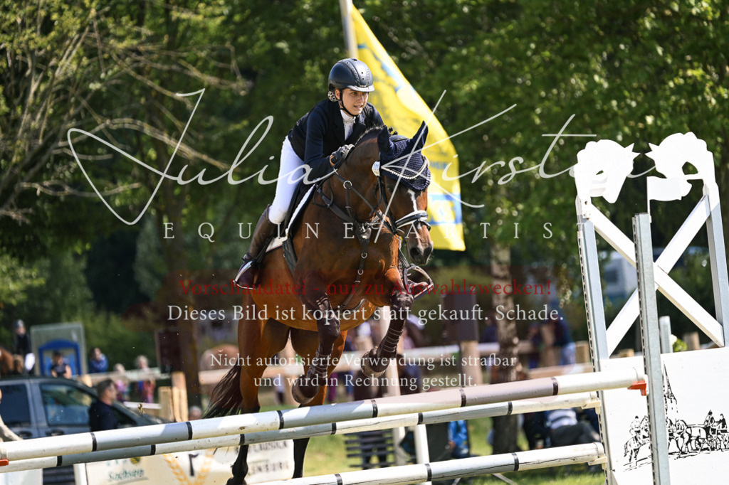 DSC_8862 | Pferde- und Turnierfotografie in Westsachsen. Pferdeportraits, Auftragszeichnungen und intuitive Kunst.