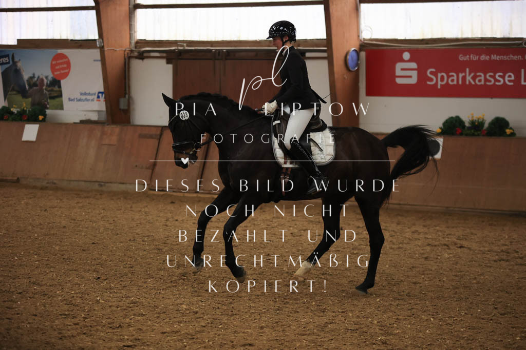 IMGT9104 | pl-fotografie