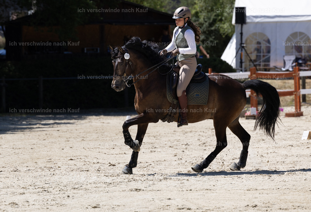 WM_Junioren_Speed_131_KerstinBernhardt-5 | working equitationturnier fotograf videograf stoibphotography marixx film working equitation deutschland reitsport turnierfotografie eventfotografie equestrian events