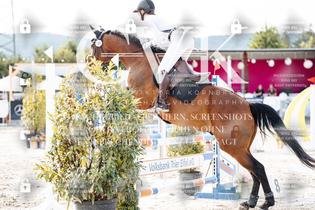CK906656 | Turnierfotografie Pferdefotografie Trier Rheinland-Pfalz Pferdesport Reitsport Tierfotografie Sportfotografie Pferdevideo Pferdevideografie Equestrianvideography equestrianphotography  - Realisiert mit Pictrs.com