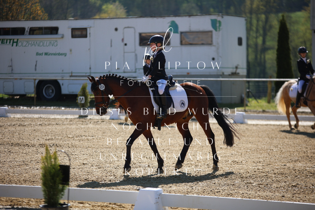 IMGT9536 | pl-fotografie