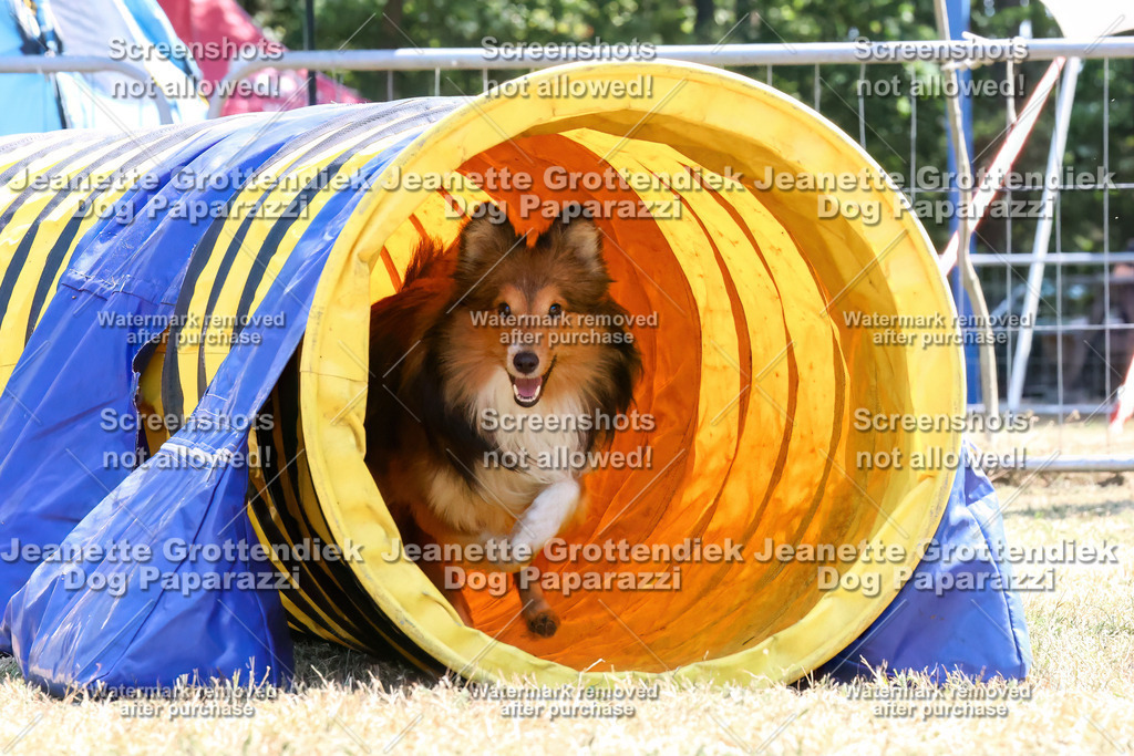 Dog Paparazzi -  Agiltiy Greffen 0826-1081 Kopie | Dog Paparazzi Jeanette Grottendiek Fotografie & Videografie - Realisiert mit Pictrs.com
