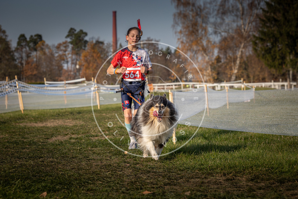CaniXpix_0L8A9382 | Hundefotografie, Tierfotograf, Pfotenfotografie, Fotoshooting Hund, Hunde Portrait, Hundesport, Hundeportraits, Heideshooting, Hunde, Sportfotograf, Hundefotograf, Turnierhundsport, THS,  - Realisiert mit Pictrs.com