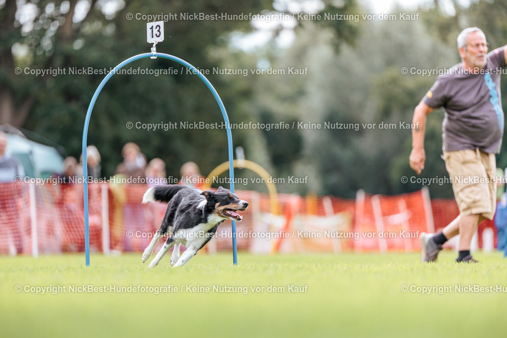 BSP Hoopers-H2-2026-Nickbest-Hundefotografie-TuS Komet Arsten e.V.-5981 | Dein Hund! Dein Moment! Deine Erinnerungen! Hundefotografie in Bremen Blumenthal. Ich fange die besonderen Momente deines Vierbeiners ein – ob Indoor mit Blitzanlage oder in der freien Natur. Sicher dir dein Moment und dein Termin für eure Erinnerungen.
