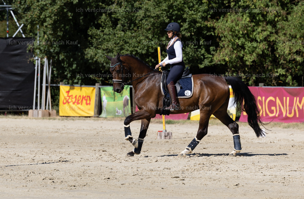 WL_Speed_41_KerstinBernhardt | working equitationturnier fotograf videograf stoibphotography marixx film working equitation deutschland reitsport turnierfotografie eventfotografie equestrian events