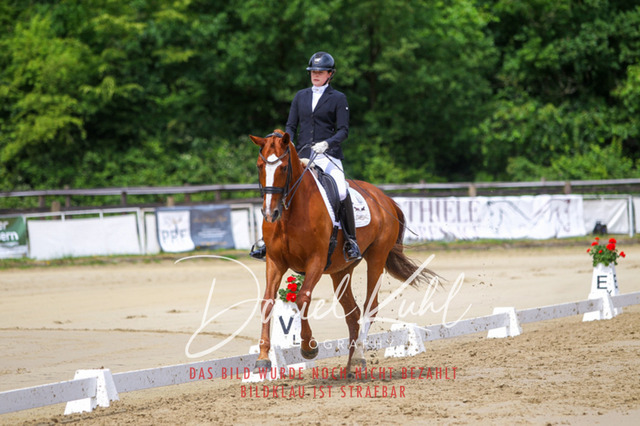 DKP47548 | Turniersportfotografie; Pferdefotografie; Dressurfotografie