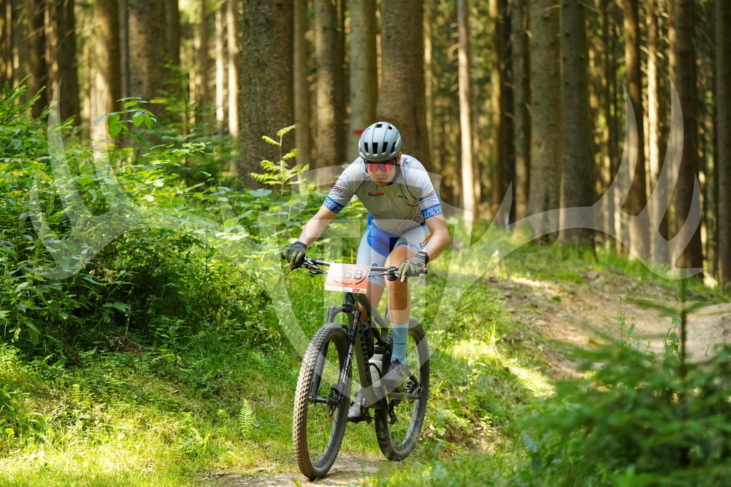 FC103153 | Fotogalerie der Treibjagd im Dunkelwald - Dein MTB Etappenrennen im Erzgebirge - Realisiert mit Pictrs.com