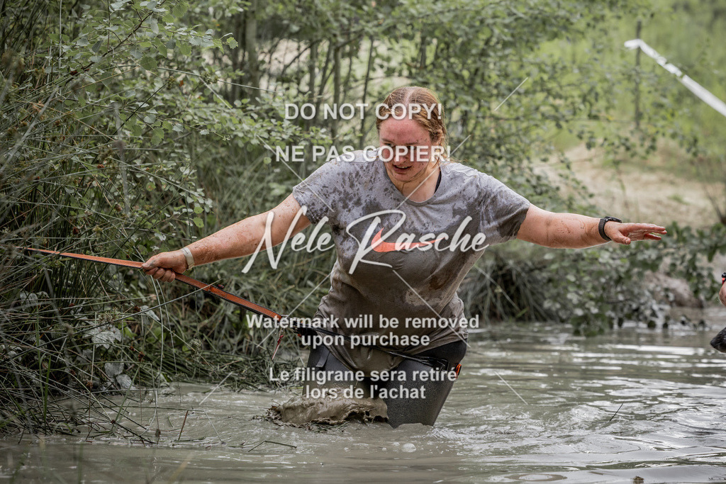 nelerasche_so1515-1530_203 | nelerasche