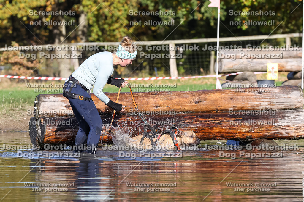 Dog Paparazzi - Strongdog 10-25-8877 | Dog Paparazzi Jeanette Grottendiek Fotografie & Videografie - Realisiert mit Pictrs.com