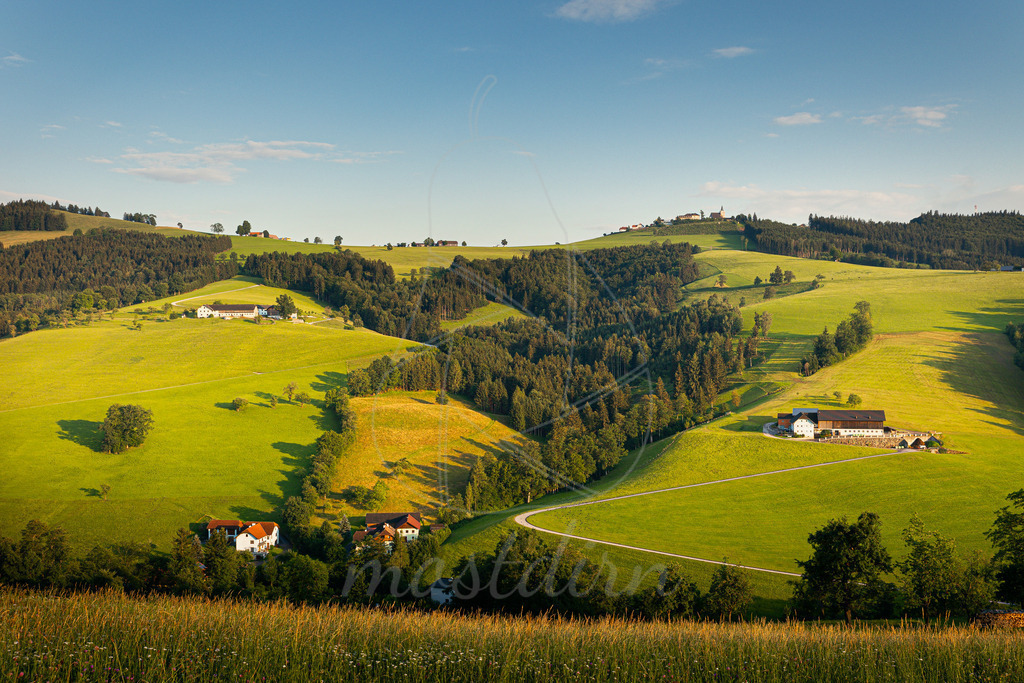Sommer im Mostviertel | Bei Veröffentlichung des Bildes ist eine Namensnennung wie folgt erforderlich: 
Foto: Mostdirn Irmgard Wieser - Realisiert mit Pictrs.com