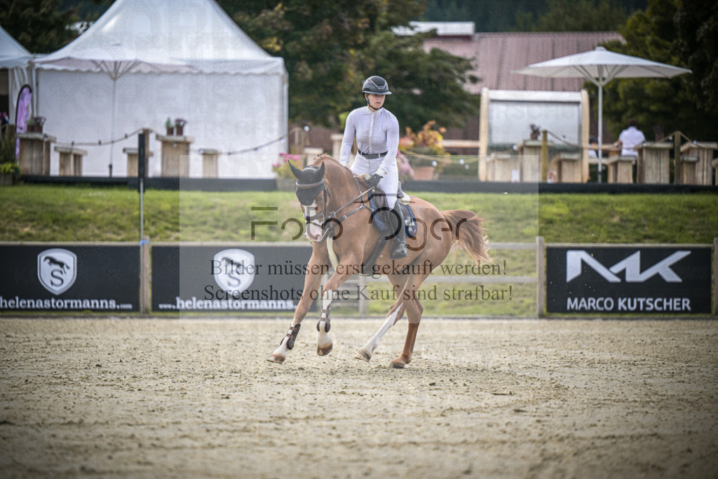 DOS_5452 | Entdecke hochwertige Reitturnierfotos von Foto Oger. Professionell, emotional und authentisch – jetzt Lieblingsmomente im Shop bestellen.Deutschlandweite Turnierfotografie. - Realisiert mit Pictrs.com