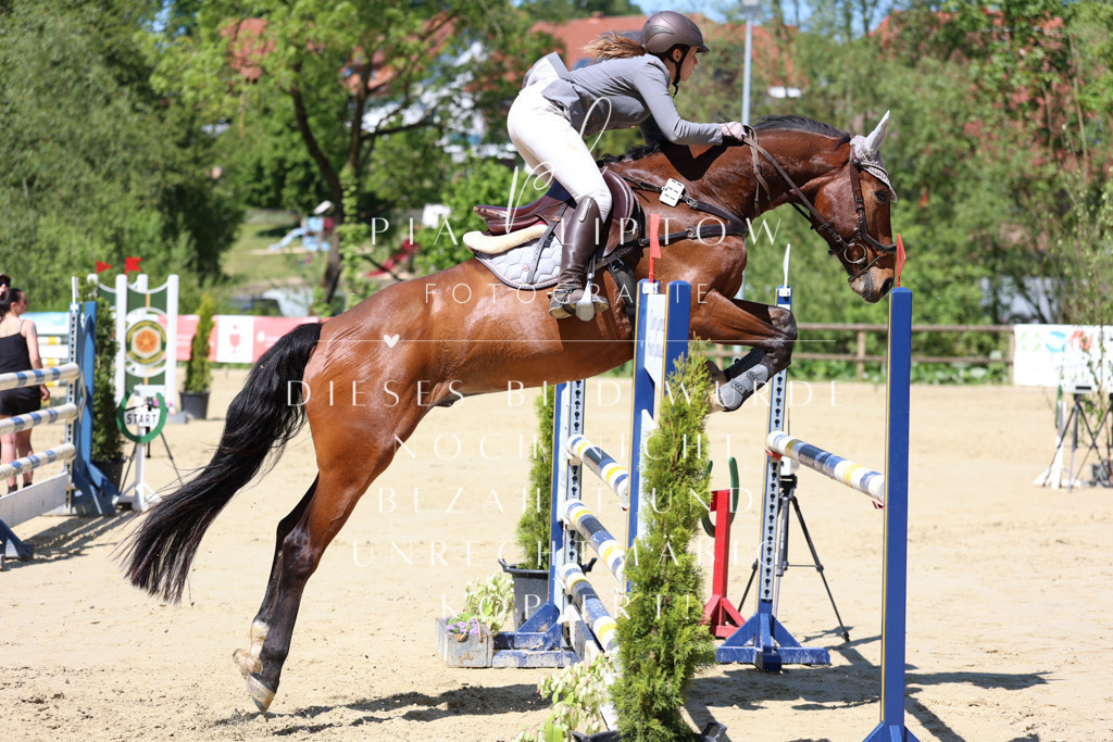 IMGS8723 | pl-fotografie