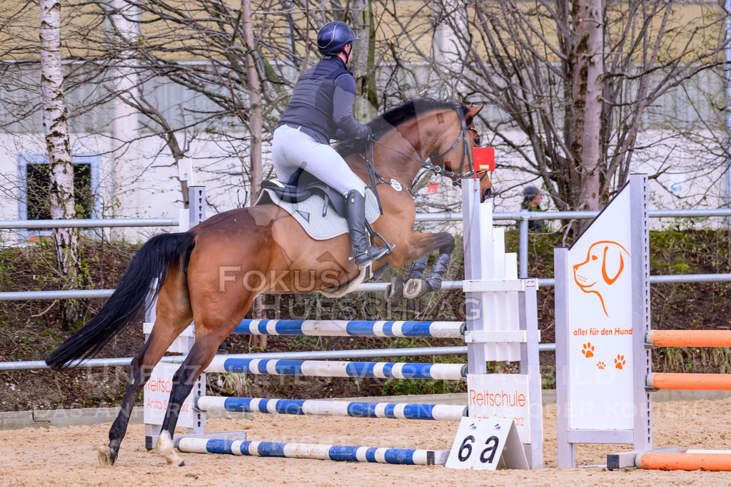 10042026-Mammendorf-Prfg16-0433 | Fokus Hufschlag Fotografie - Realisiert mit Pictrs.com