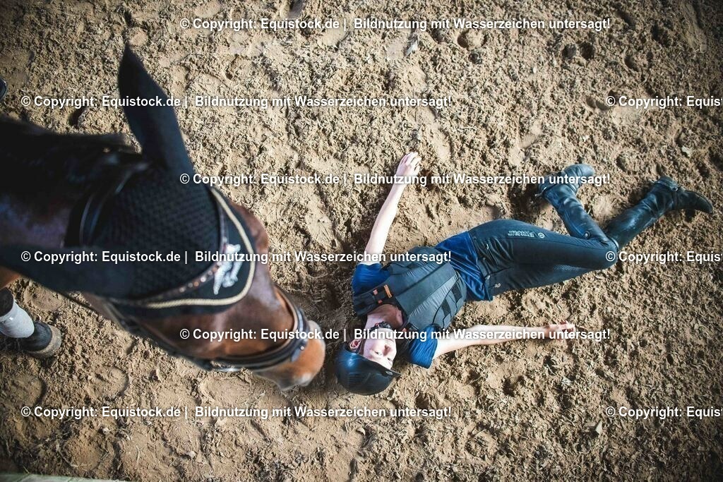 20190811_Sturzweste_0041 | equistock