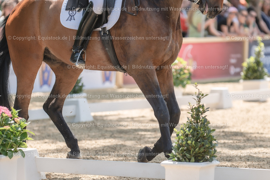 20230527_01_GP-Kür-Tour_0133 | equistock