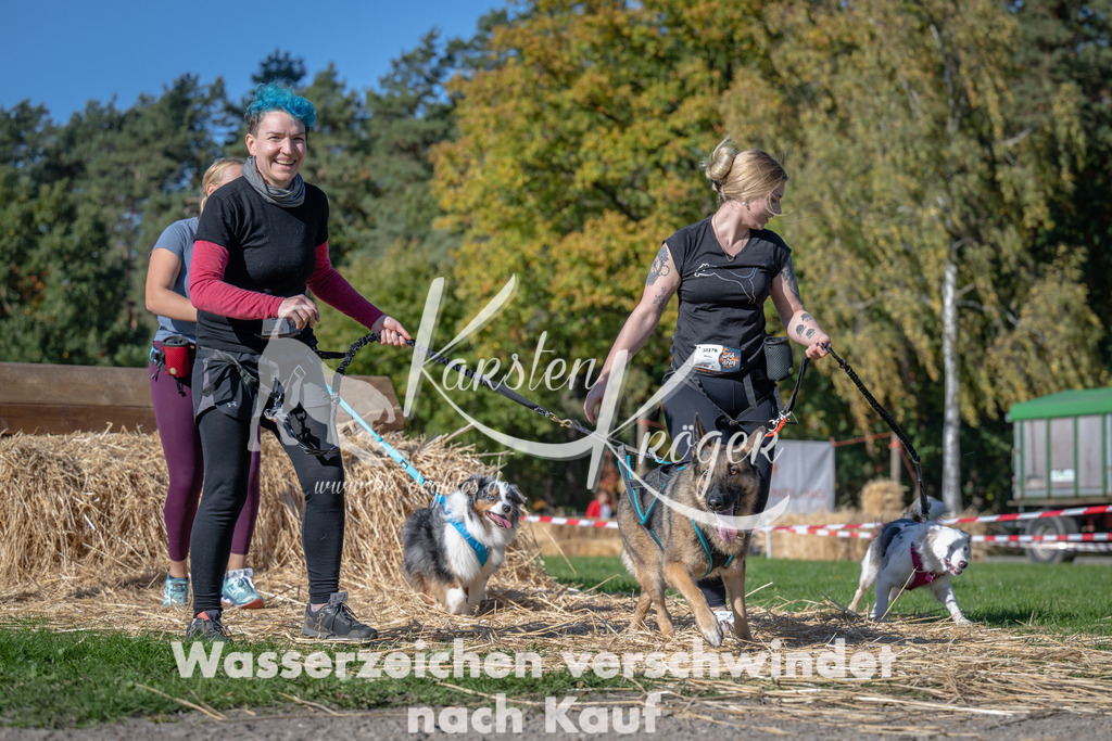 1200_ZZ91588 | kk-dogfotos