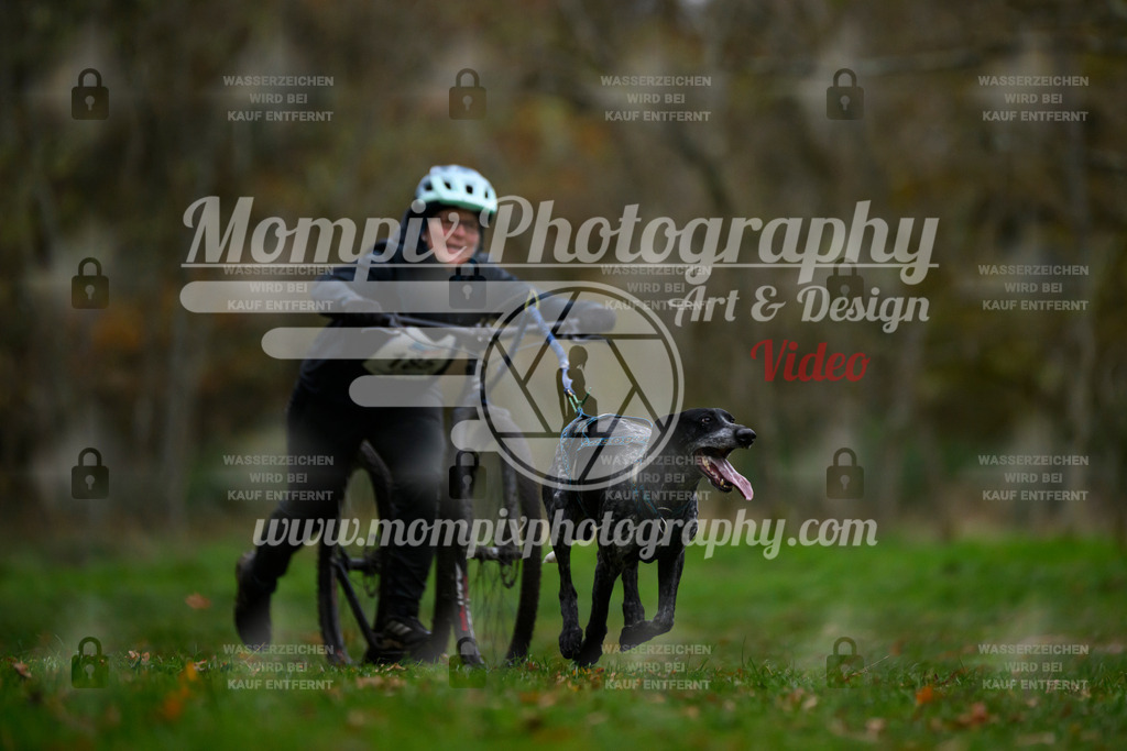 MompixPhotography_Bischwiller24_SA_DS1-33 | PayLife