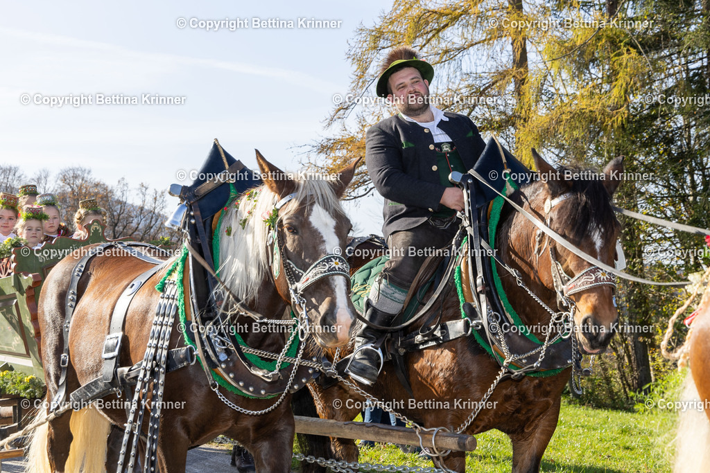 LBT24-1459 | foto-bettina-krinner - Realisiert mit Pictrs.com