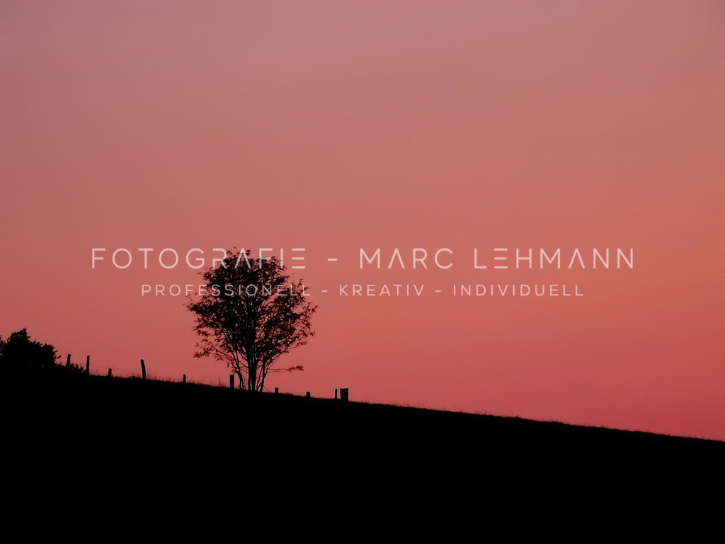 DSCN5553 | Fotografie Marc Lehmann - Realisiert mit Pictrs.com