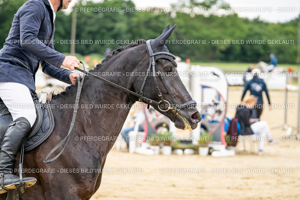 DSC06005 | Pferdegrafie