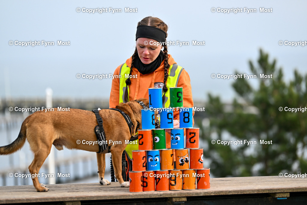 DSC_6732 | Hallo und herzlich Willkommen auf meiner Shop-Seite Fynn Most.

Ich wünsche Dir viel Spaß beim stöbern durch die Bilder, wenn Du Fragen hast oder Bilder vermisst, kannst du mir gerne eine Nachricht schreiben. - Realisiert mit Pictrs.com