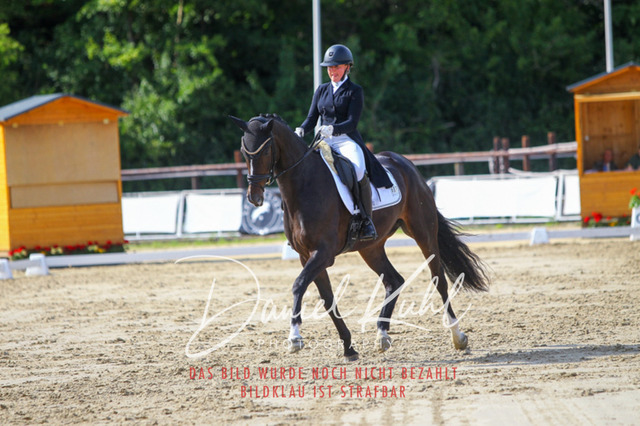 DKP46584 | Turniersportfotografie; Pferdefotografie; Dressurfotografie