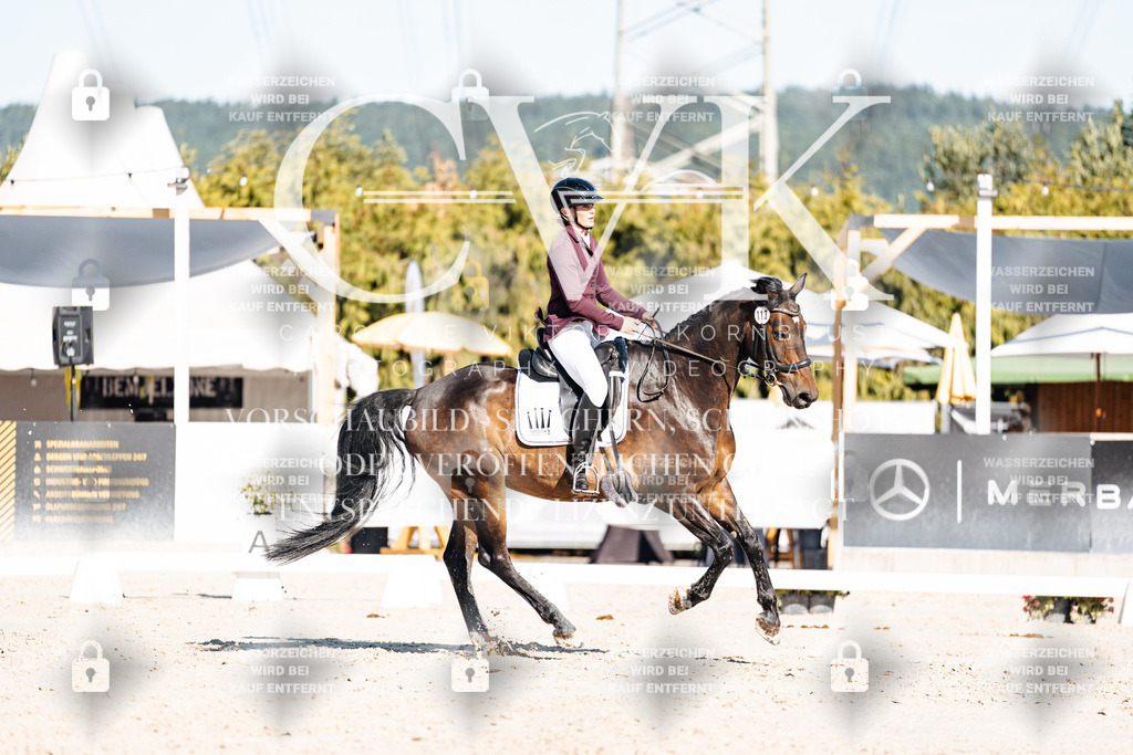 CK907605 | Turnierfotografie Pferdefotografie Trier Rheinland-Pfalz Pferdesport Reitsport Tierfotografie Sportfotografie Pferdevideo Pferdevideografie Equestrianvideography equestrianphotography  - Realisiert mit Pictrs.com