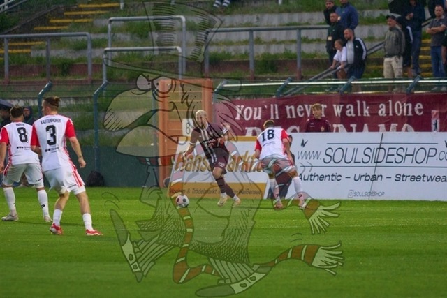 BFC Dynamo vs. Hallescher FC 058 | mythos-online-redaktion